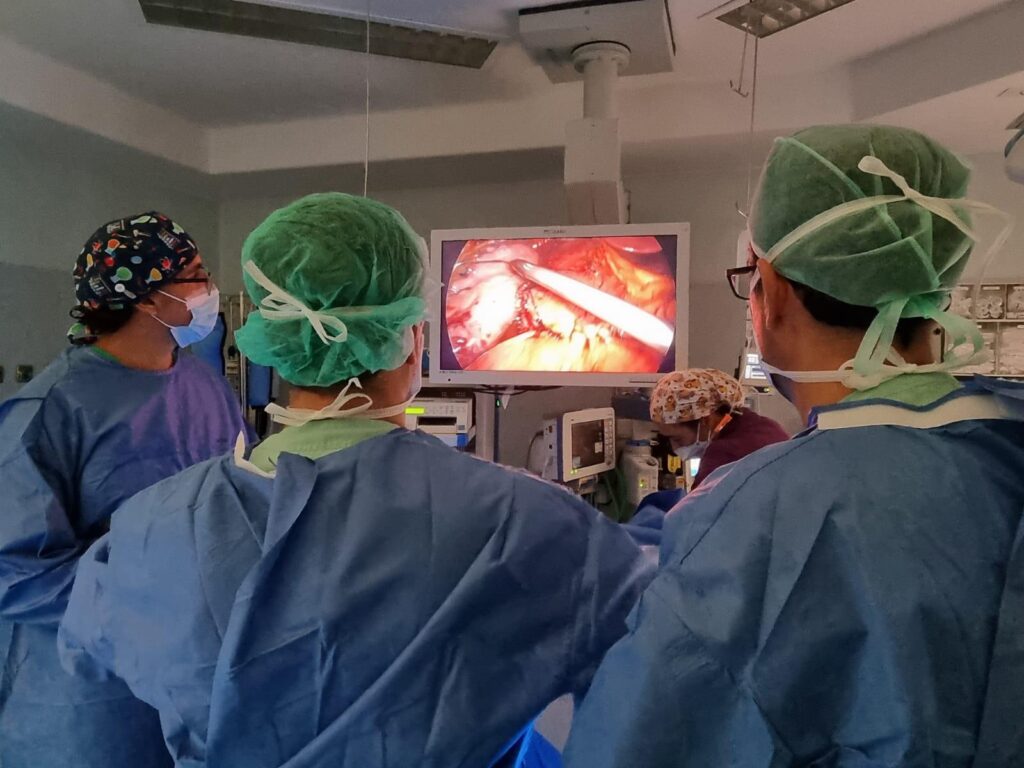 laparoscopia urologica
